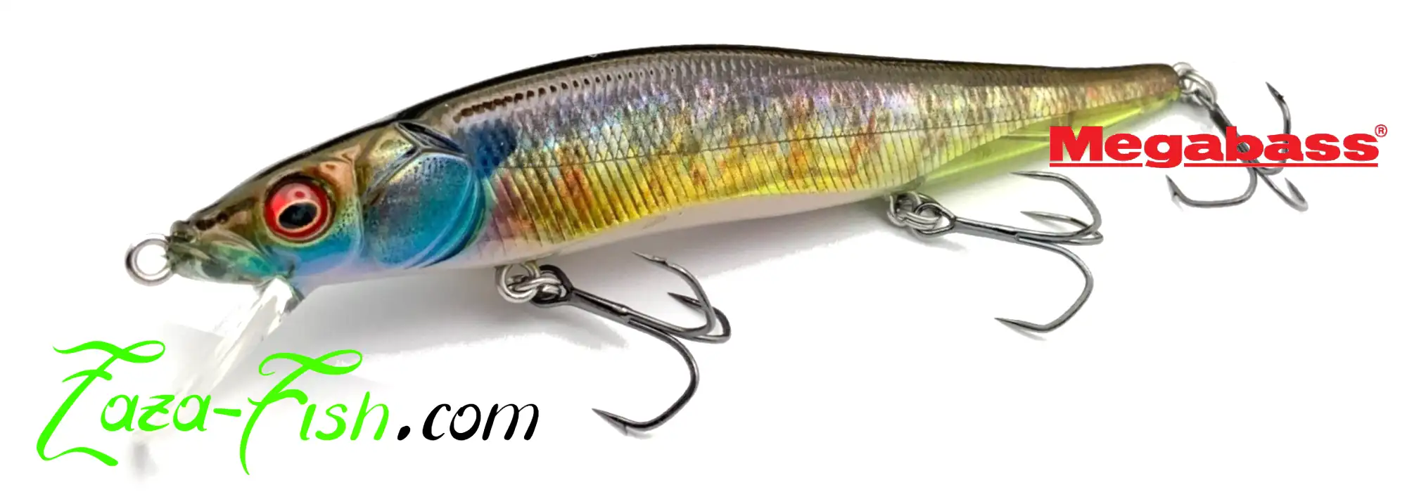 Vue générale du Megabass Vision Fine Art Finish, un minnow ultra-réaliste