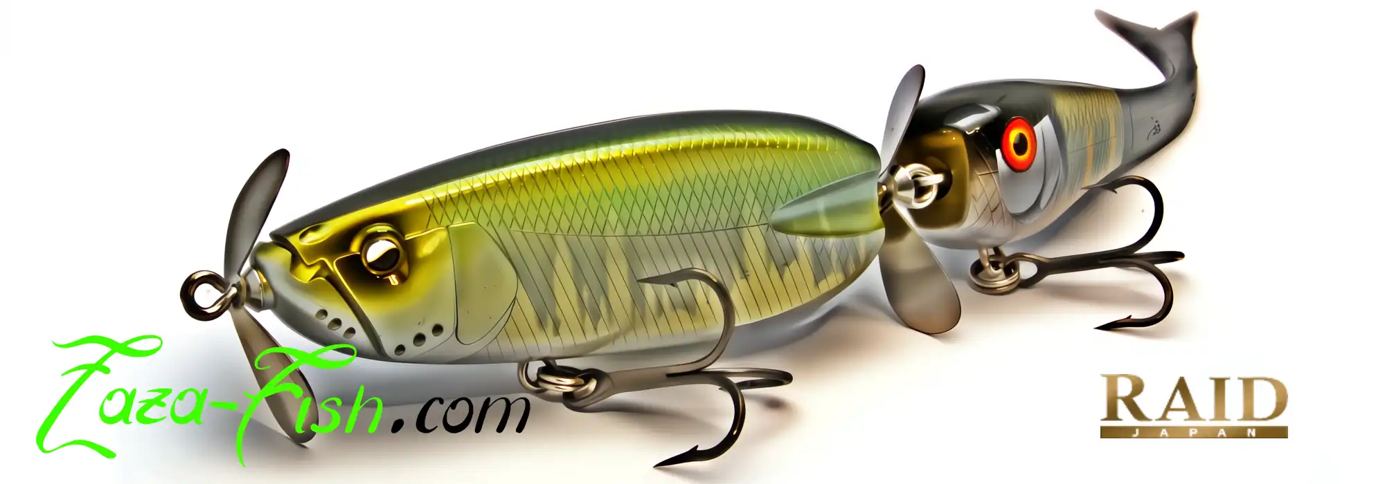 Zazafish, guide de pêche international, présentant le DOUBLE HEADER Raid Japan après une belle prise