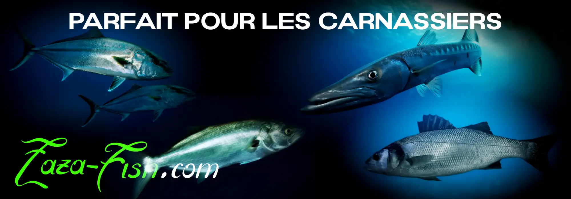 Animation du Megabass Cookai BRING 130 F avec sa bavette en fibre, parfait pour les carnassiers mari