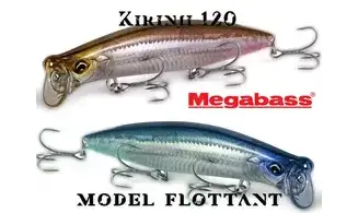 TOPWATER KIRINJI 120 : 120MM - 21GR